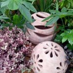 Pepiniere Des Grands Lacs Pepiniere A Biscarrosse 615832631 122152936310724459 6154566747451612888 N