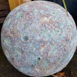 Pepiniere Des Grands Lacs Pepiniere A Biscarrosse 616645921 122152936100724459 2827251976368363190 N