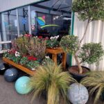 Pepiniere Des Grands Lacs Pepiniere A Biscarrosse 617832770 122152936352724459 5778331405660758572 N